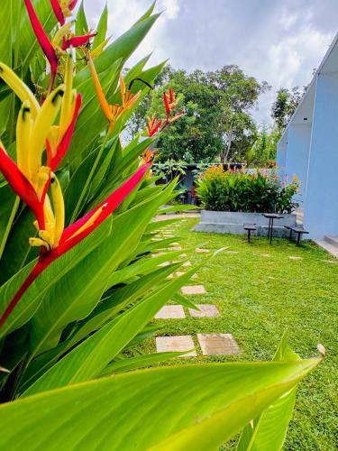 a garden with red and yellow flowers and plants at Bebe peak weligama in Weligama