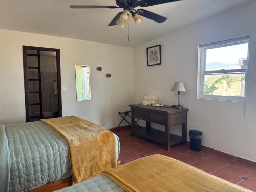 a bedroom with a bed and a desk and a ceiling fan at Ranchito Boutique Motel Buhos Valle Guadalupe in Francisco Zarco