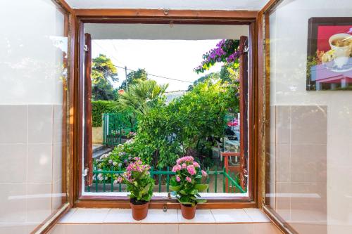a window with two potted plants on a window sill at Apartments Borik in Zadar