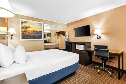 エルコにあるDays Inn by Wyndham Elkoのベッドと机とパソコンが備わったホテルの部屋
