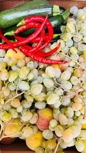 a pile of vegetables sitting on top of a table at Villa Yucca - B&B and Glamping in Torano Nuovo
