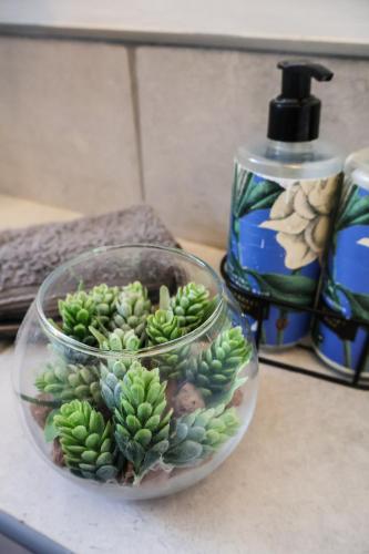 a glass bowl with a plant in it on a counter at The Gables-Clarens in Clarens