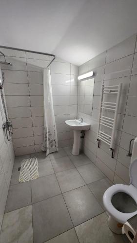 a bathroom with a toilet and a sink at Casa Mariflor in Vama Buzăului