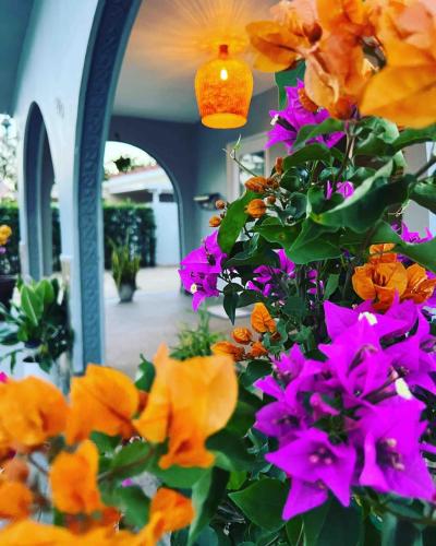 a bunch of flowers in front of a mirror at The blue Homestay near Miami Airport in Miami