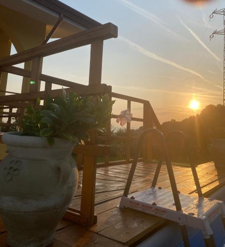 a plant in a pot on a deck with the sunset at Relais Green Paradise in Apice