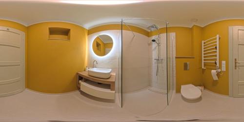 a bathroom with a shower and a sink and a toilet at Stone House in Tîrgu Secuiesc