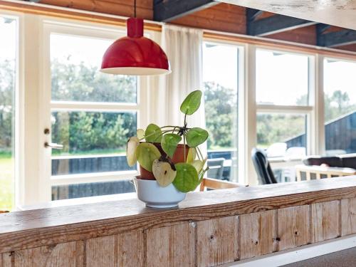 Vestervigにある8 person holiday home in Vestervigの窓付きの部屋のカウンターに座る鉢植え