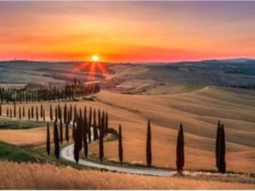 a painting of a sunset in a field with trees at Villa with Panoramic Views in Marciano