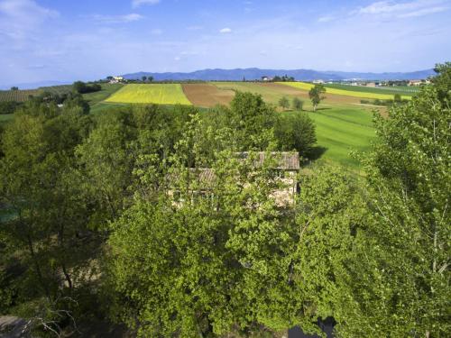 an aerial view of a field and trees at Villa with Panoramic Views in Marciano