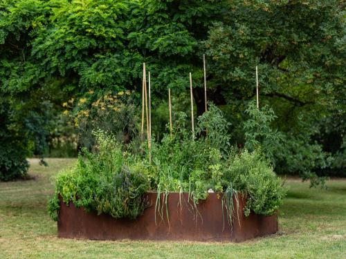 a planter filled with plants in a field at Villa with Panoramic Views in Marciano