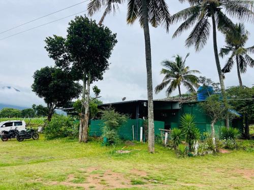 a green house with palm trees in front of it at Pug Mark Jungle Resort - Masinagudi in Masinagudi