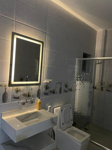 a bathroom with a sink and a toilet and a mirror at Airport Villa Amman in Amman