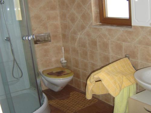 a bathroom with a toilet and a glass shower at Holiday Home Sisan near Beach & Pool in Šišan