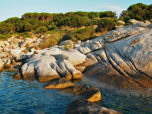 a river with rocks and water and trees at elegant apartment near the beach of Baja Sardinia in Baraccamenti