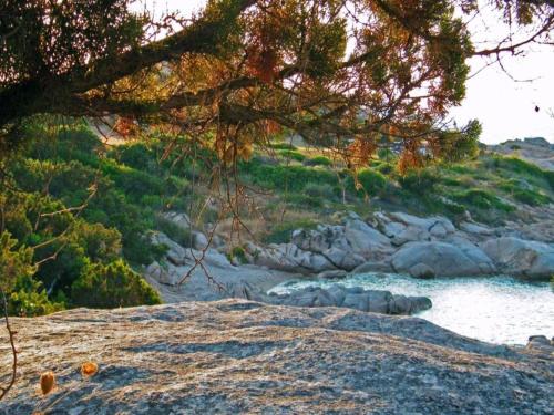 a view of a river with rocks and a tree at elegant apartment near the beach of Baja Sardinia in Baraccamenti