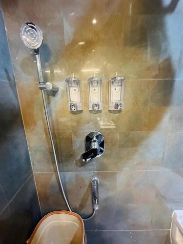 a bathroom with a shower with a toilet and lights at The Cerro Rico- 3BHK Premium Apartment in Panchkula