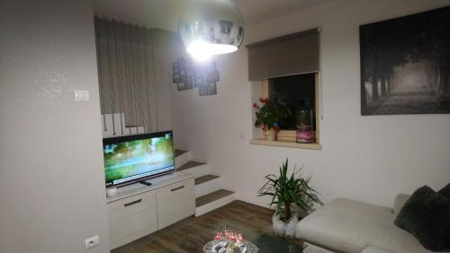 a living room with a television and a couch at Casa Ronch in Strembo