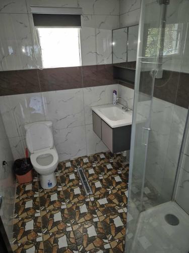 a bathroom with a toilet and a sink and a shower at Rogo Soqo Homestay in Nadi