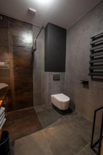 a bathroom with a shower and a toilet in it at domki Koziniec na wyłączność Myczkowce Solina Bieszczady 5 in Myczkowce