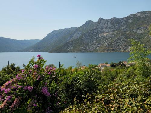 Φωτογραφία από το άλμπουμ του Apartment Rose Garden σε Risan