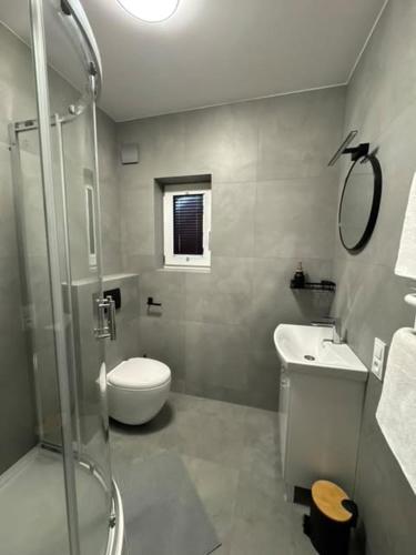 a bathroom with a shower and a toilet and a sink at Willa Gazda Apartamenty in Sromowce Niżne