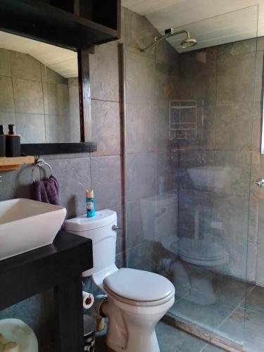 a bathroom with a toilet and a shower and a sink at Faith Cabin in Waterval-Onder
