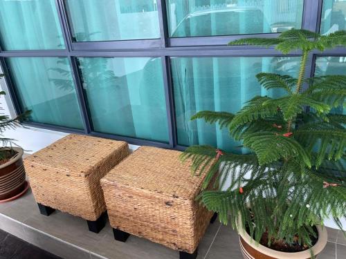 a room with two wicker benches and a palm tree at Dream Home Landed Balik Pulau in Balik Pulau
