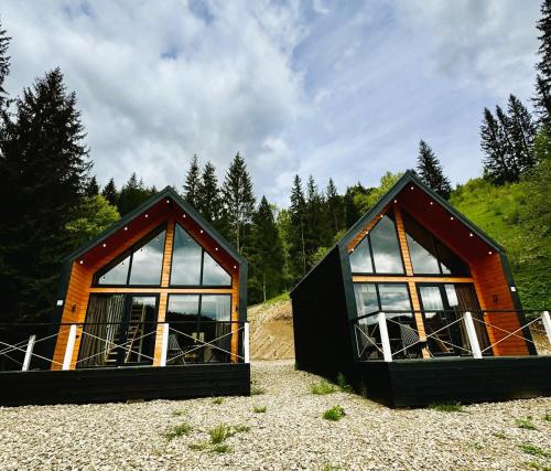 two small houses sitting on top of a field at Котедж Royal place in Krivorovnya