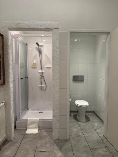 a bathroom with a shower and a toilet at PostersApt3-Cozy Cinema Vibes in Vienna