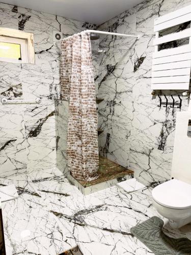 a bathroom with a toilet and a marble wall at Casa Veche 