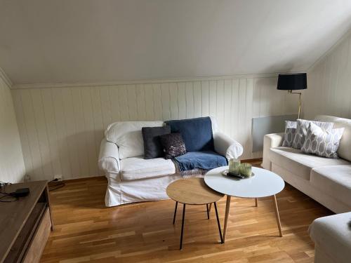 a living room with a couch and a table at Unik oase in city center in Tønsberg