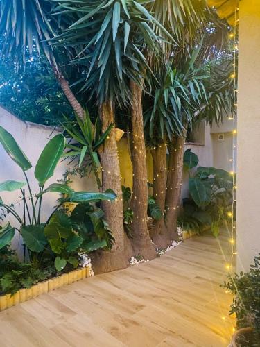 Tiny House - Les Baïsses - Jardin Tropical