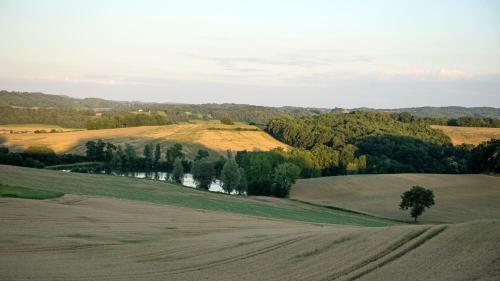 an empty field with a tree in the middle of it at Pure Gardères in Monlezun