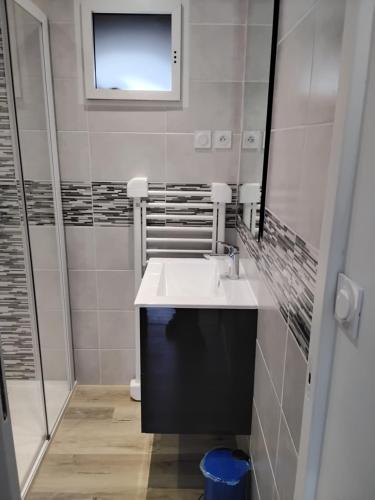 Un baño con lavabo blanco y ducha. en La maison des magnolias, en Pommerit-le-Vicomte