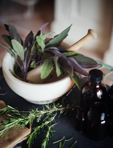 a plant in a white bowl on a table at Pure Gardères in Monlezun