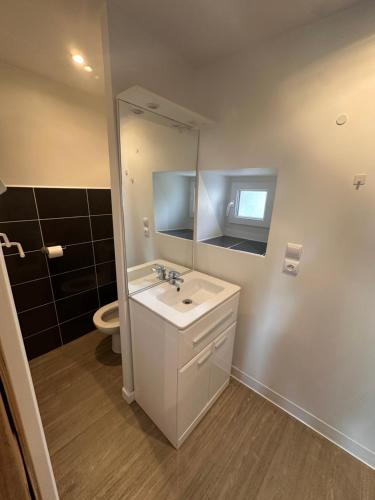 a bathroom with a sink and a mirror and a toilet at Les gîtes de Joséphine proche Chambord in Courbouzon
