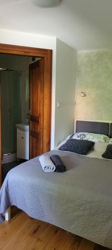 a bedroom with a large bed in a room at O'Sowa Noclegi Wetlina in Wetlina
