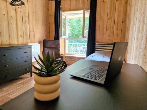 a laptop computer sitting on a desk with a potted plant at Joli Appartement cosy in Guny