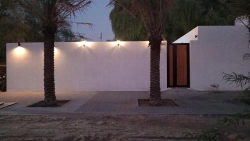 two palm trees in front of a white wall at Dar 66 Digdagga Pool Chalet with Jacuzzi in Ras al Khaimah