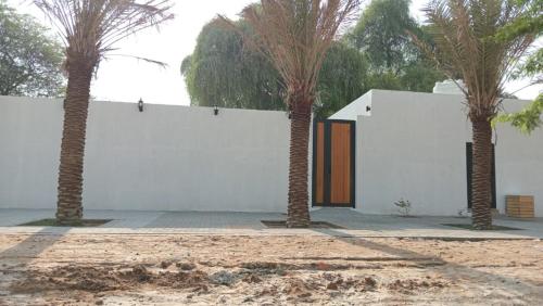 three palm trees in front of a white wall at Dar 66 Digdagga Pool Chalet with Jacuzzi in Ras al Khaimah