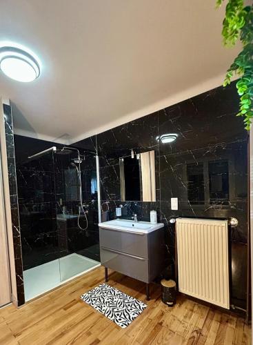 a bathroom with a sink and a shower at le gîte des frangines in Bitche