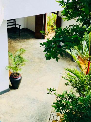 a courtyard with potted plants in a building at Out Of Rupeace Home Galle in Galle