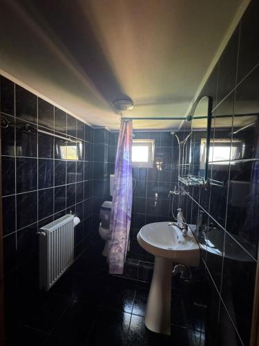 Gallery image of Casa Marion in Mănăstirea Humorului