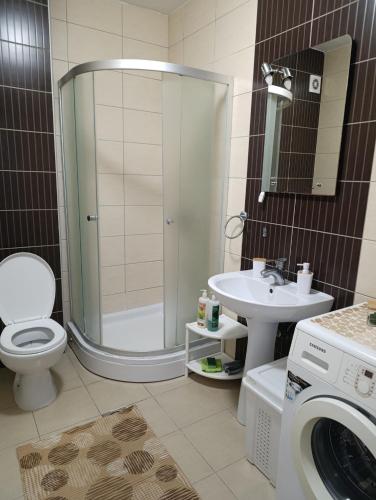 a bathroom with a shower toilet and a washing machine at Sirmijum Hause II in Sremska Mitrovica