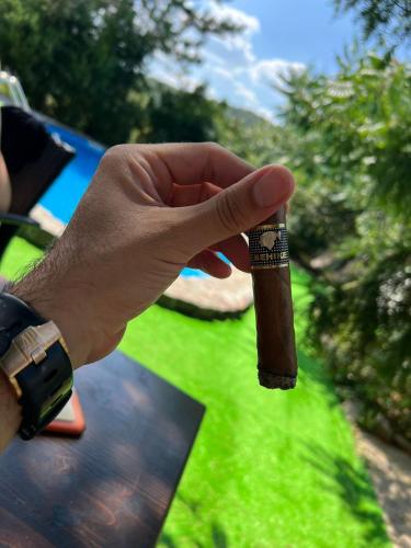 a person holding a cigar in their hand at Vila Blue Mountain Lake in Ledinci