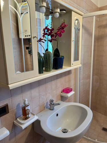 a bathroom with a sink and a mirror at La Bucolica in Murata