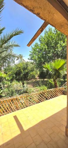 a view from a patio with a fence and trees at Chez Ogandou in Skoura