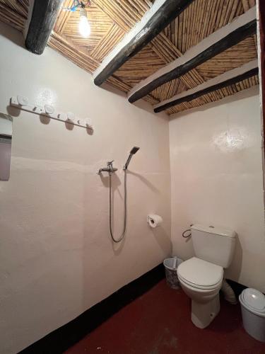 a bathroom with a toilet and a shower at Chez Ogandou in Skoura