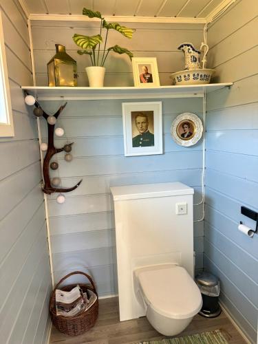 a bathroom with a white toilet in a room at Sjarmerande fjellhytte i Holtaheia in Strand