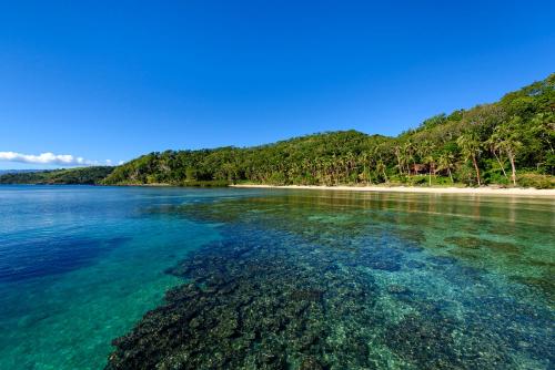 a body of water with a beach and trees at The Remote Resort in Nawi